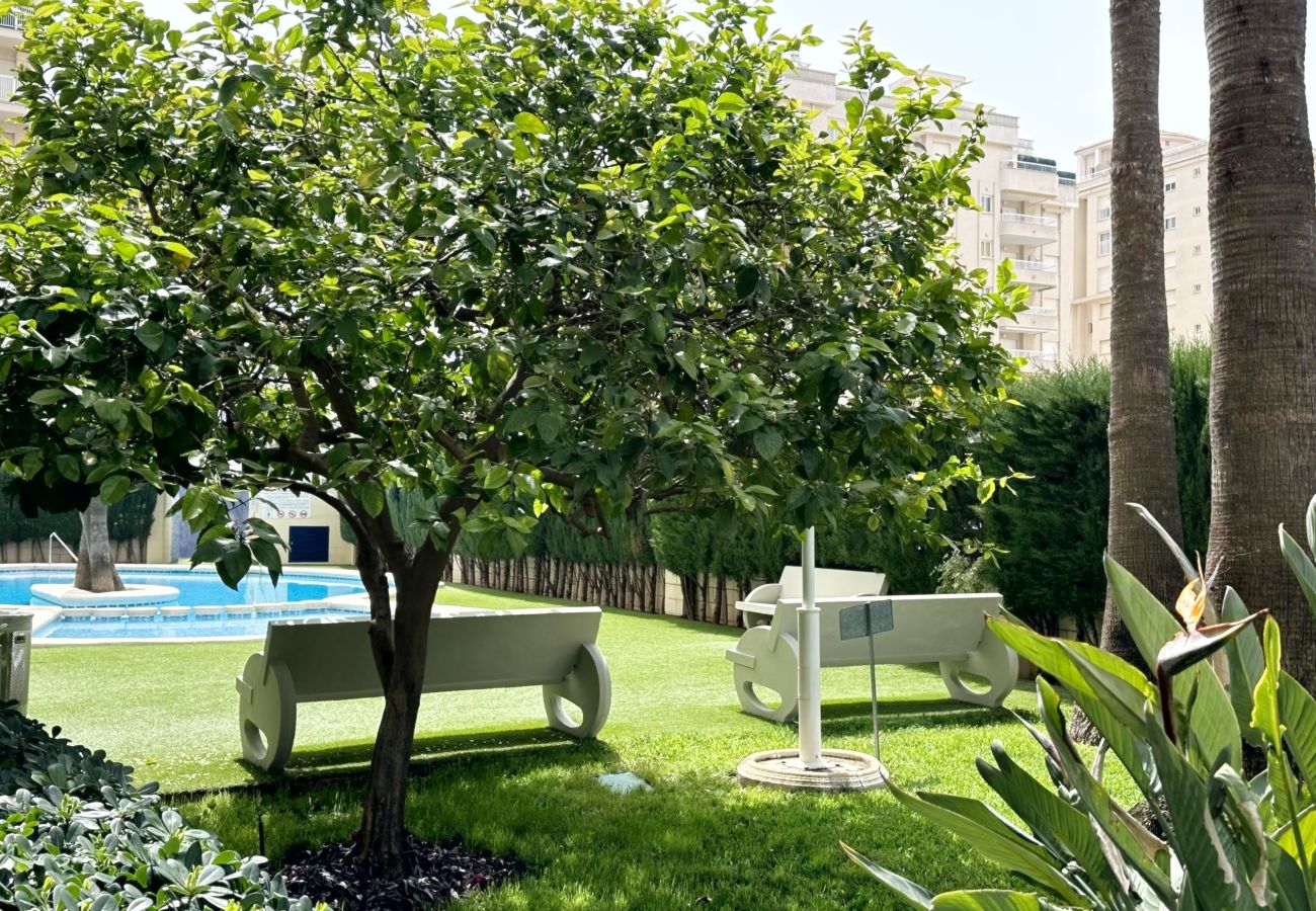 Apartamento en Gandia - BITACORA 8 - 3ª - 8º - E
