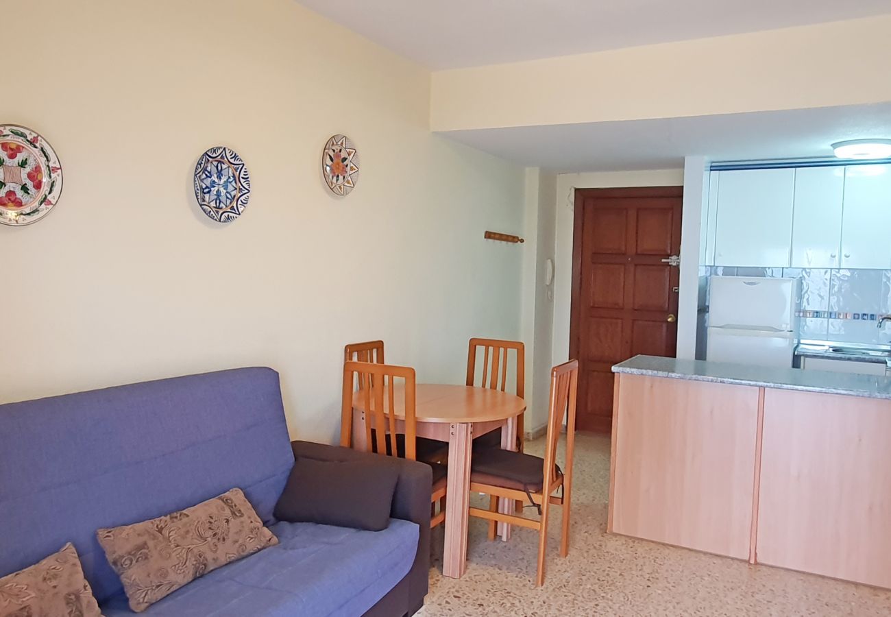 Apartamento en Gandia - INFANTE E2 - 10