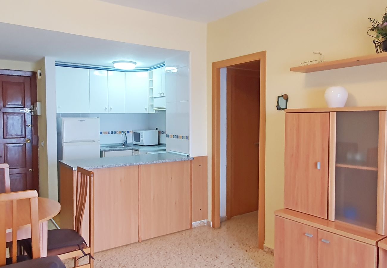 Apartamento en Gandia - INFANTE E2 - 10