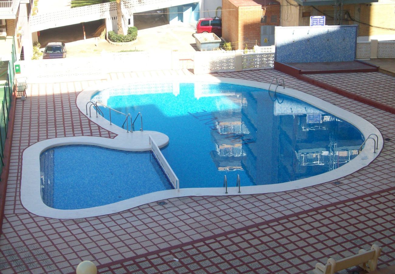 Apartamento en Gandia - INFANTE E1 - 3º