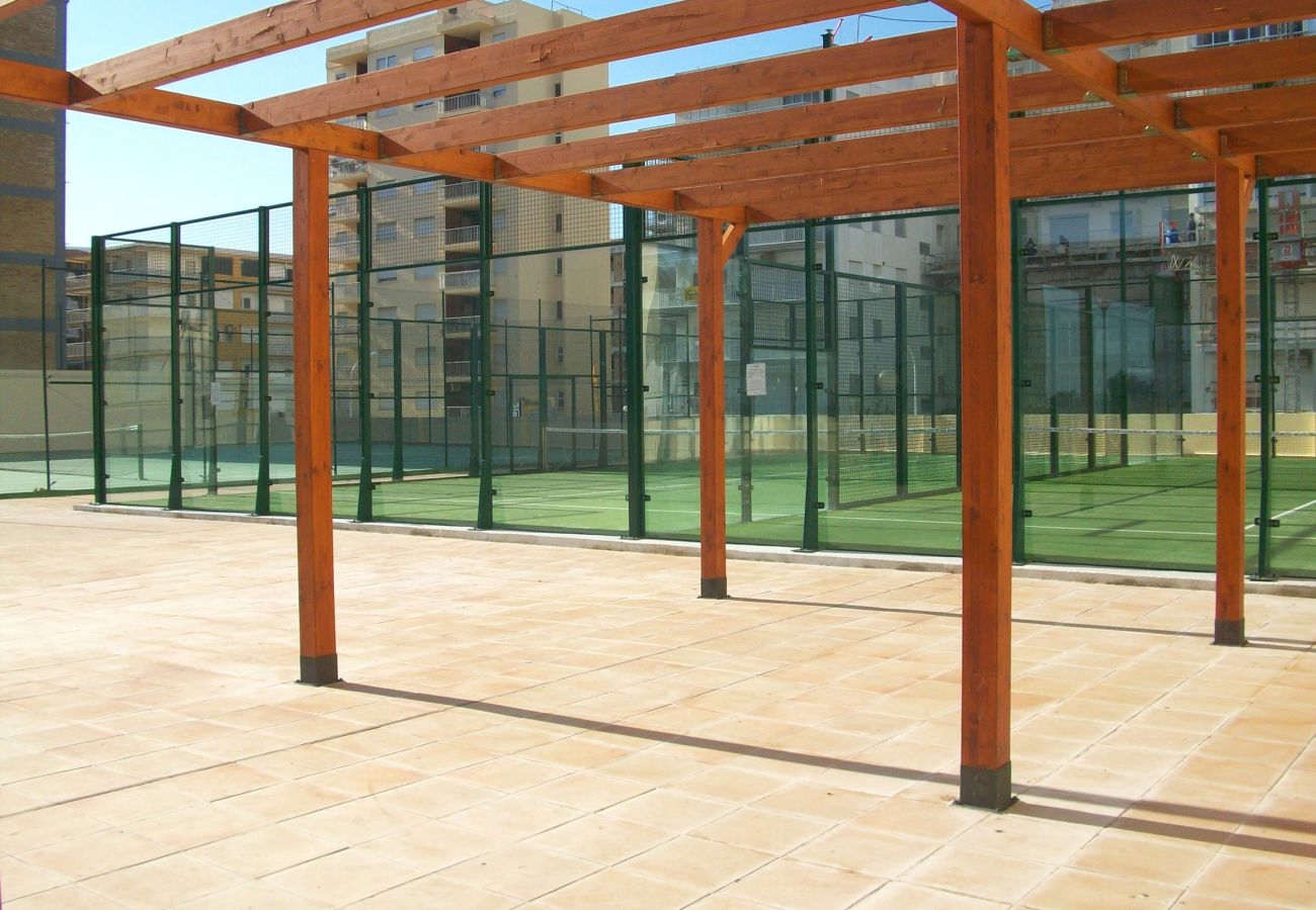 Apartamento en Gandia - ALBATROS 1ª - 8º- 15