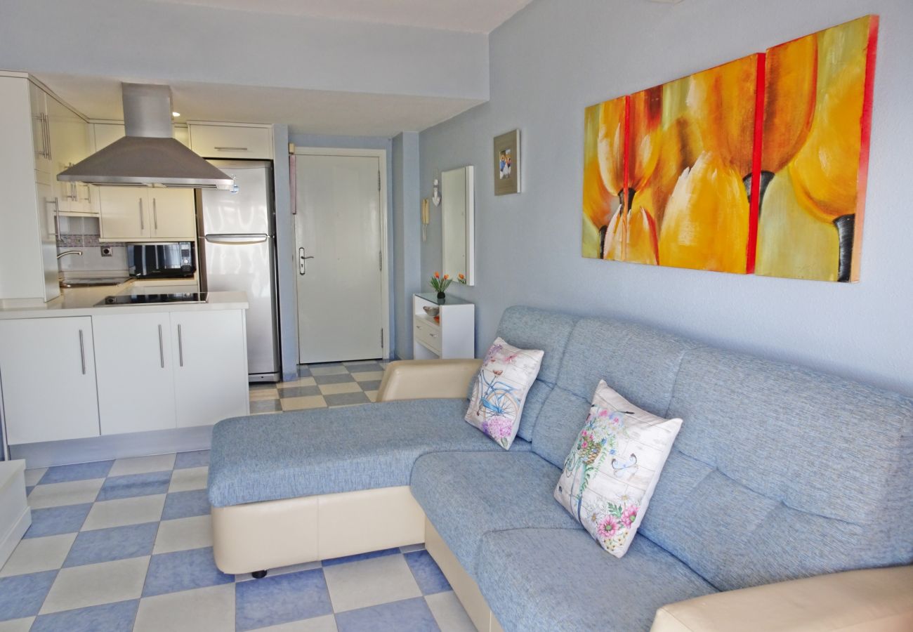 Apartamento en Gandia - BONAIRE E1 - 11
