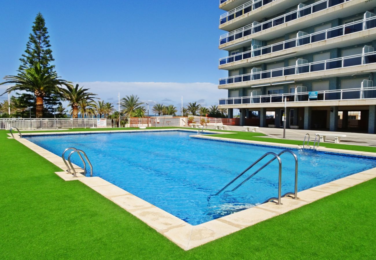 Apartamento en Gandia - AIGUA BLAVA 1ª - 4º - 8ª