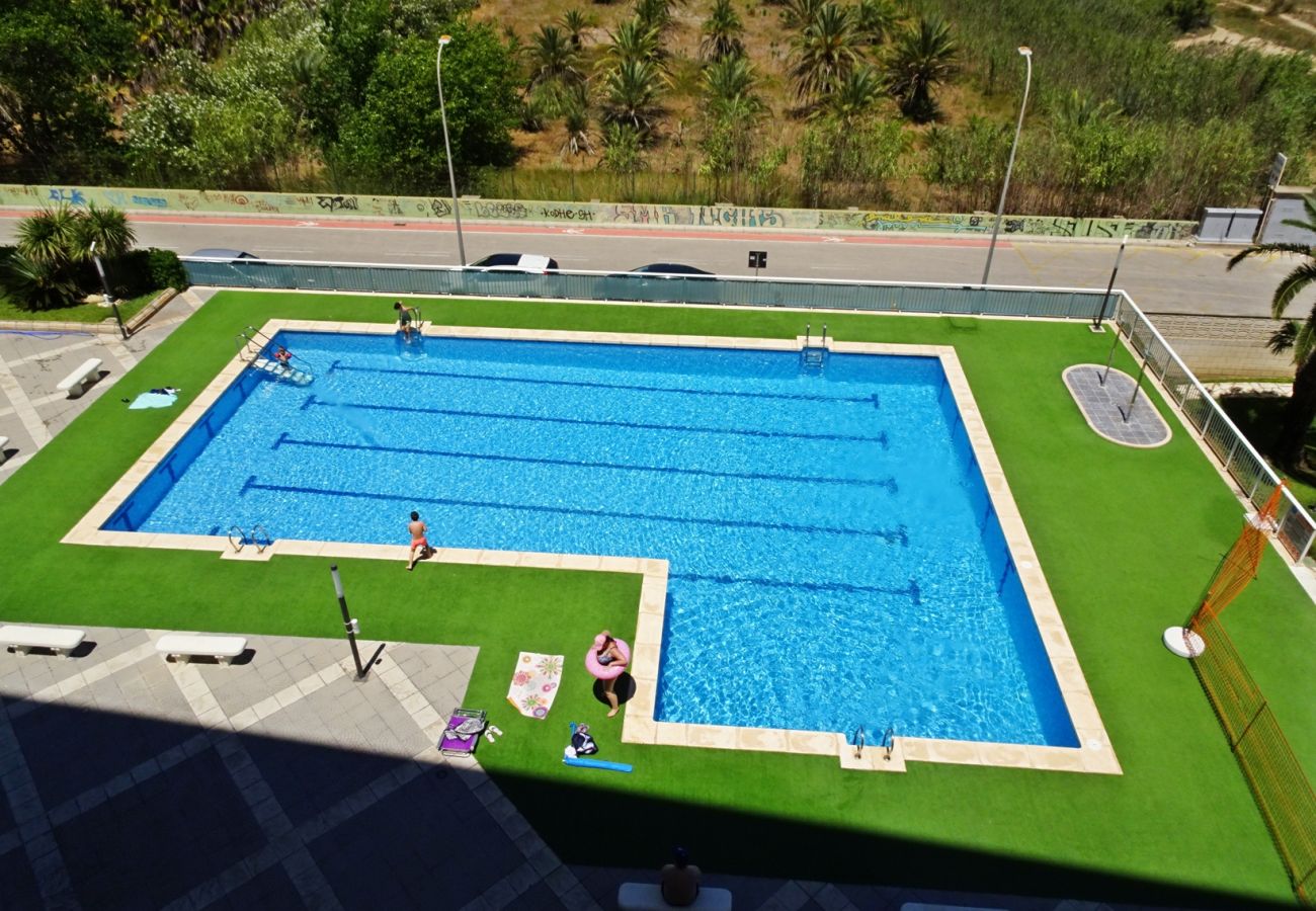 Apartamento en Gandia - AIGUA BLAVA 1ª - 4º - 8ª