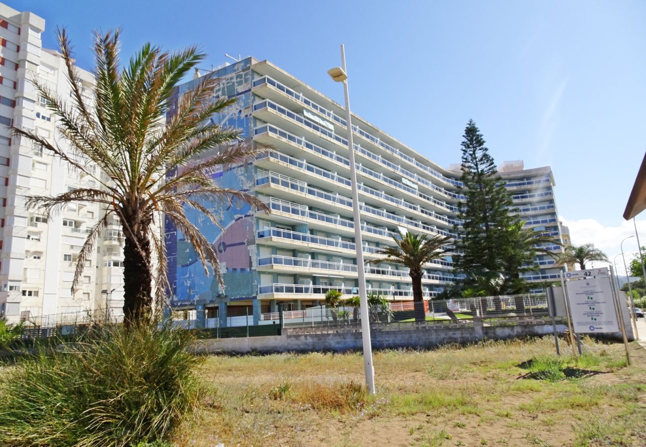 Apartamento en Gandia - AIGUA BLAVA 1ª - 4º - 8ª