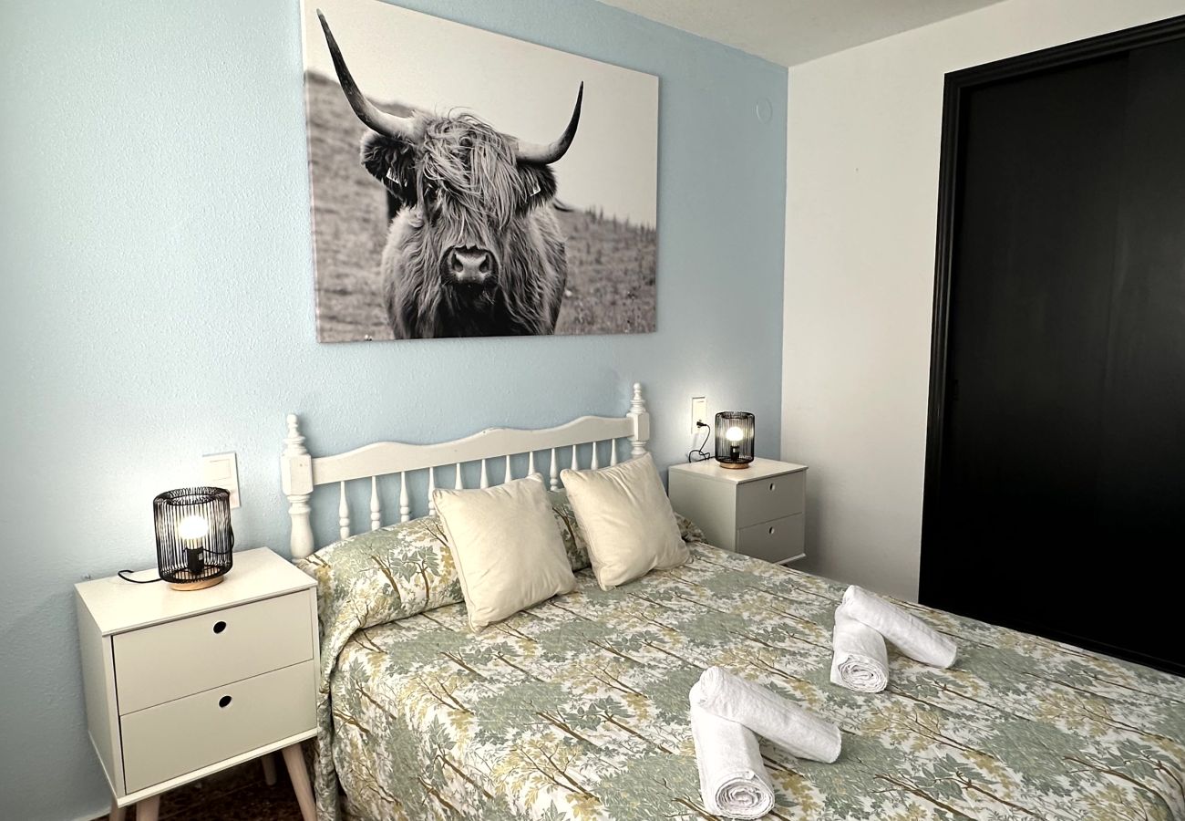 Apartamento en Gandia - BALI - 8º - 15ª