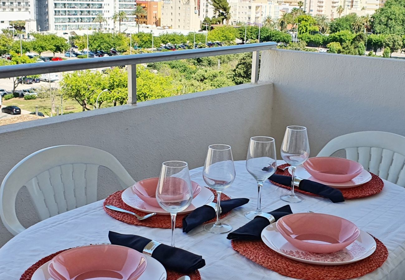 Apartamento en Gandia - BALI - 8º - 15ª