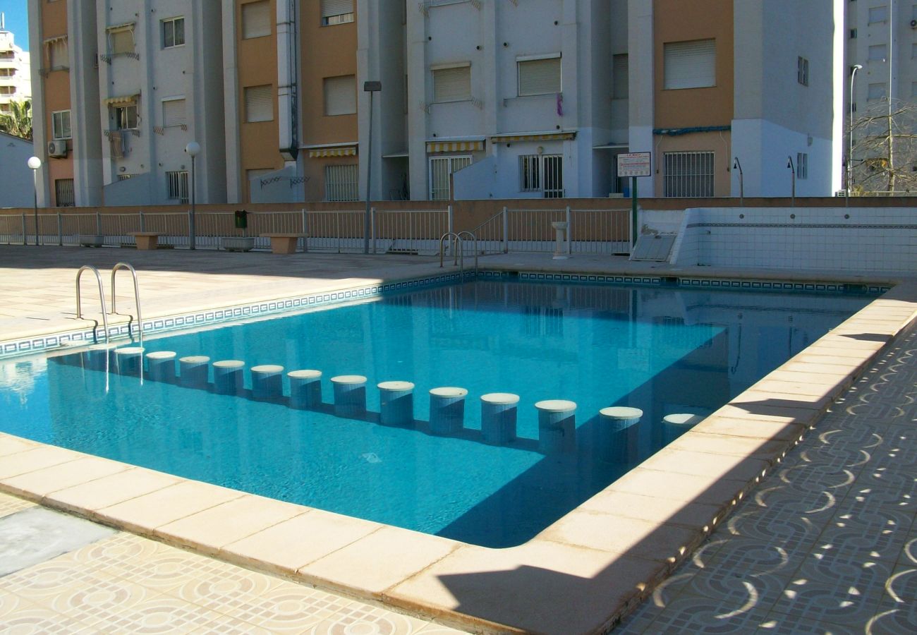 Apartamento en Gandia - BALI - 8º - 15ª
