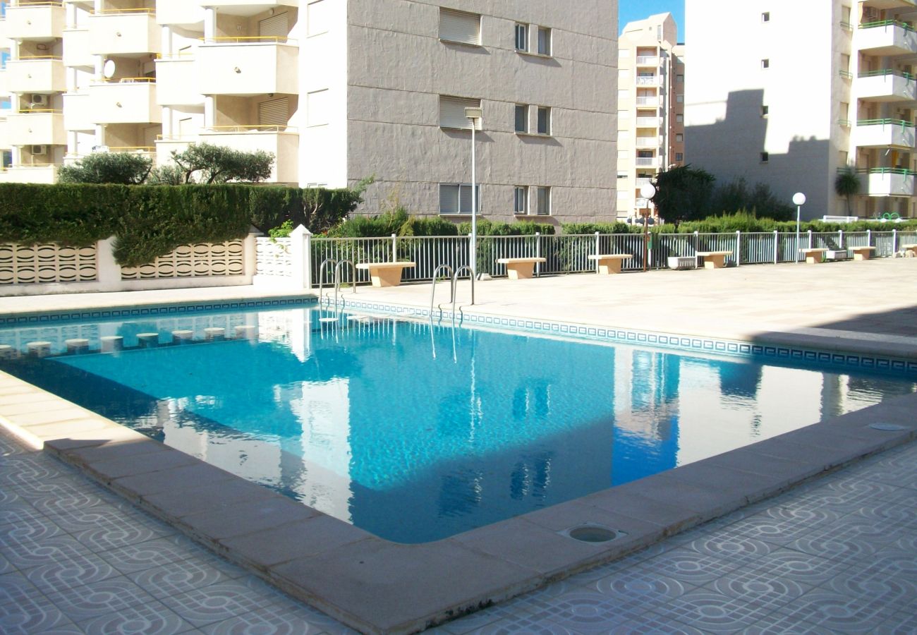 Apartamento en Gandia - BALI - 8º - 15ª