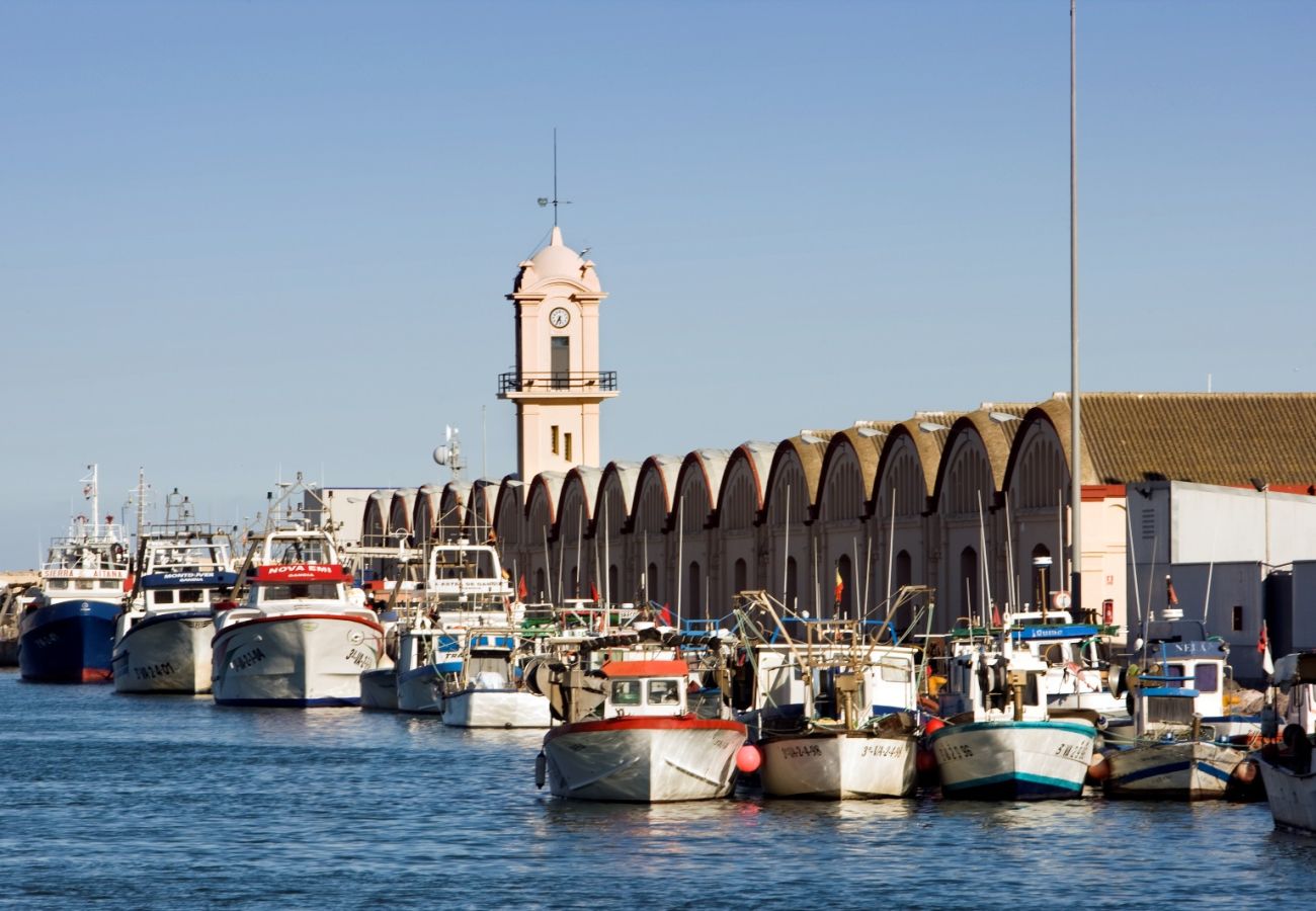 Apartamento en Gandia - BONAIRE 8 - A