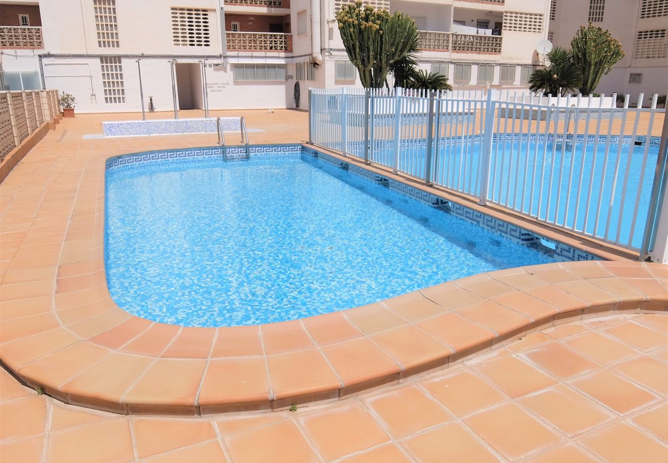 Apartamento en Gandia - BONAIRE 8 - A