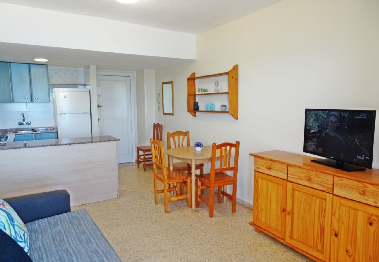 Apartamento en Gandia - BONAIRE E1 - 8º