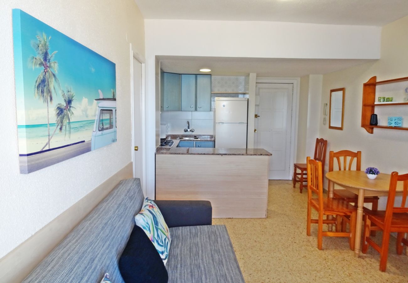 Apartamento en Gandia - BONAIRE E1 - 8º