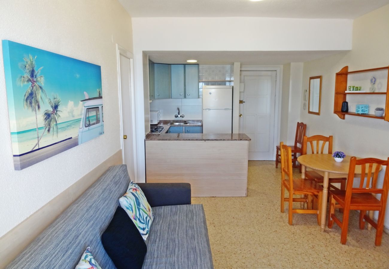 Apartamento en Gandia - BONAIRE E1 - 8º