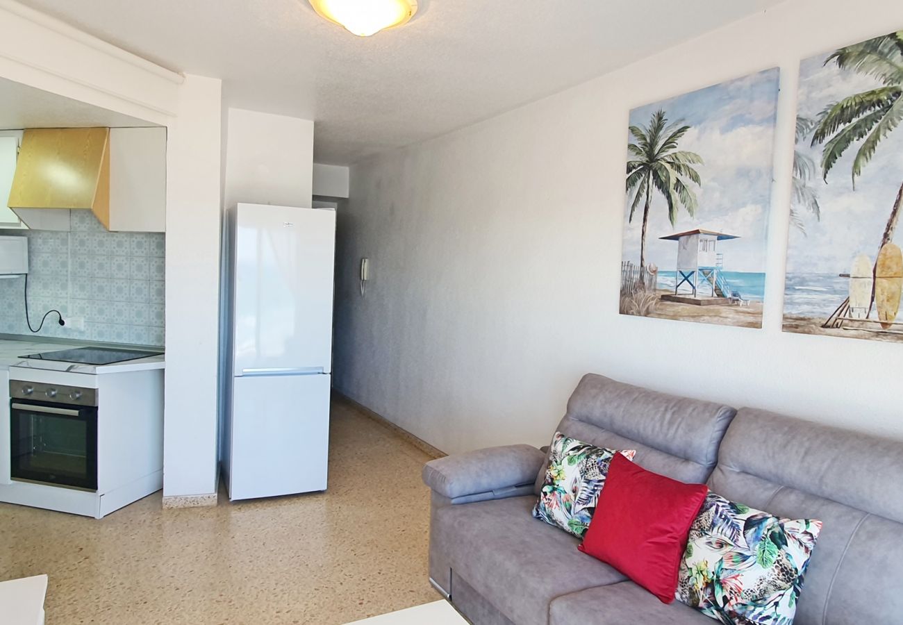 Apartamento en Gandia - BONAIRE E3 - 12