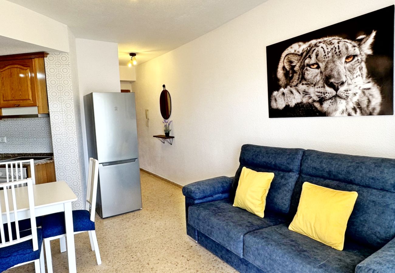 Apartamento en Gandia - BONAIRE E3 - 1º