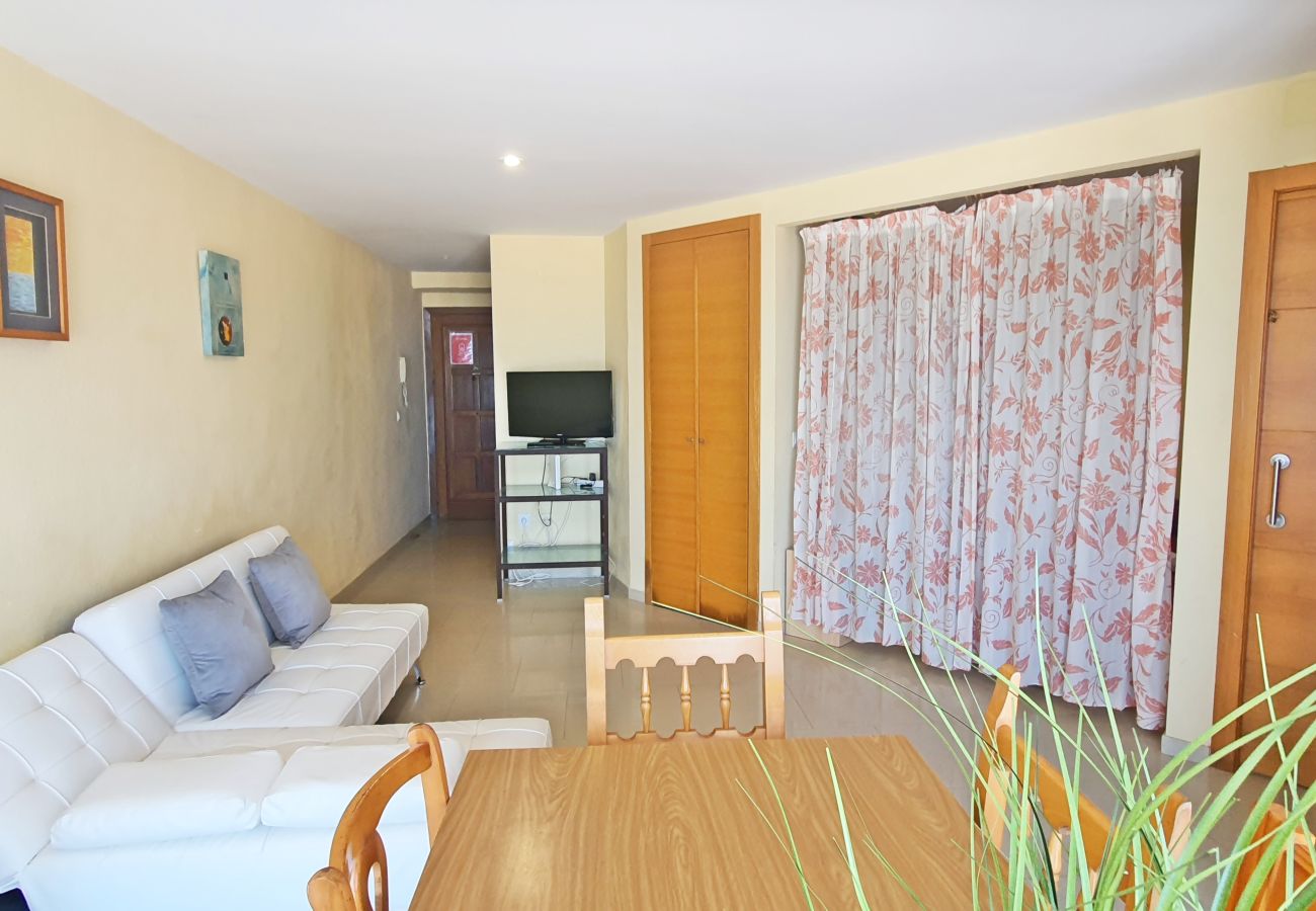 Apartamento en Gandia - BONAIRE E4 - 10º