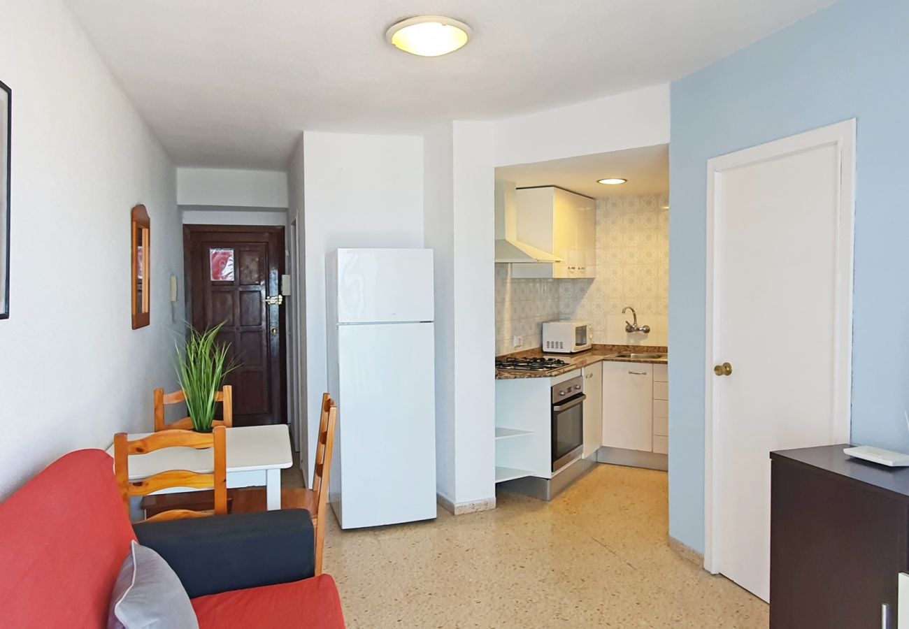 Apartamento en Gandia - BONAIRE E4 - 12