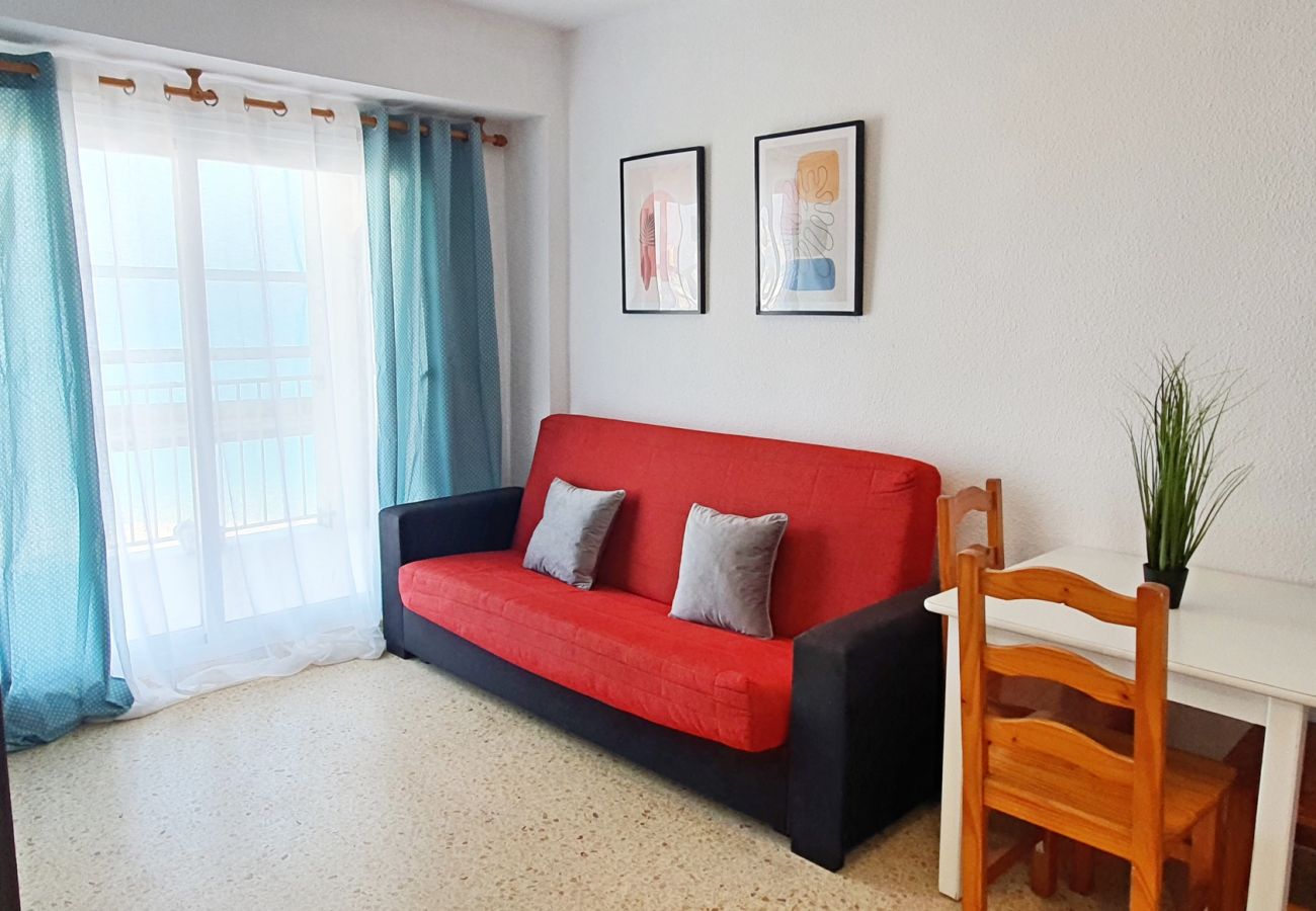 Apartamento en Gandia - BONAIRE E4 - 12