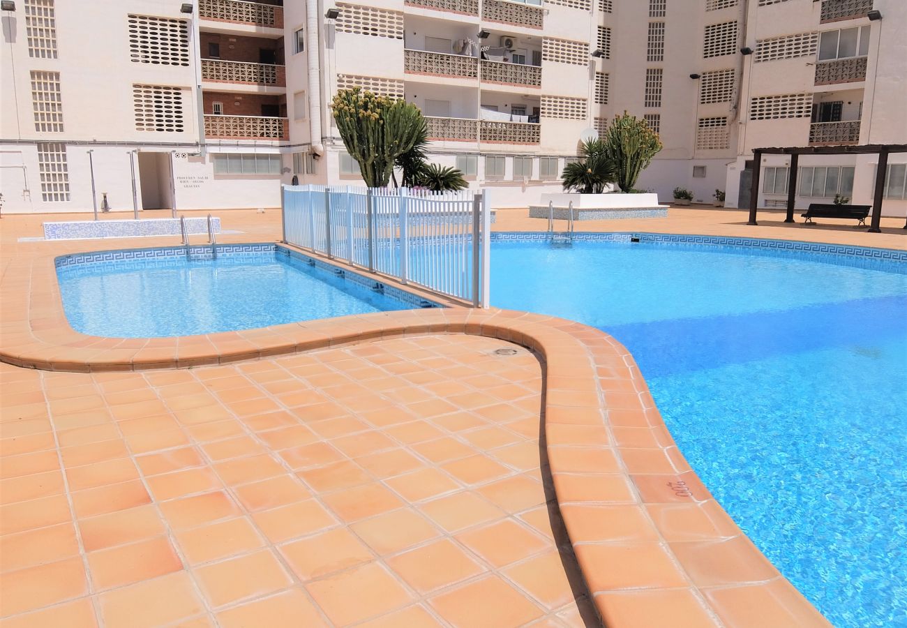 Apartamento en Gandia - BONAIRE E5 - 1º