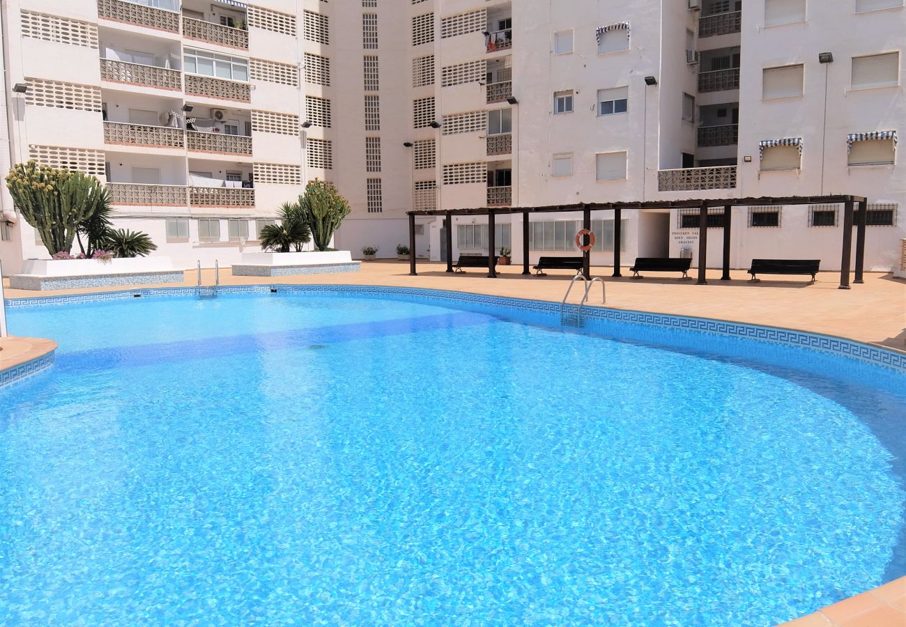 Apartamento en Gandia - BONAIRE E5 - 1º