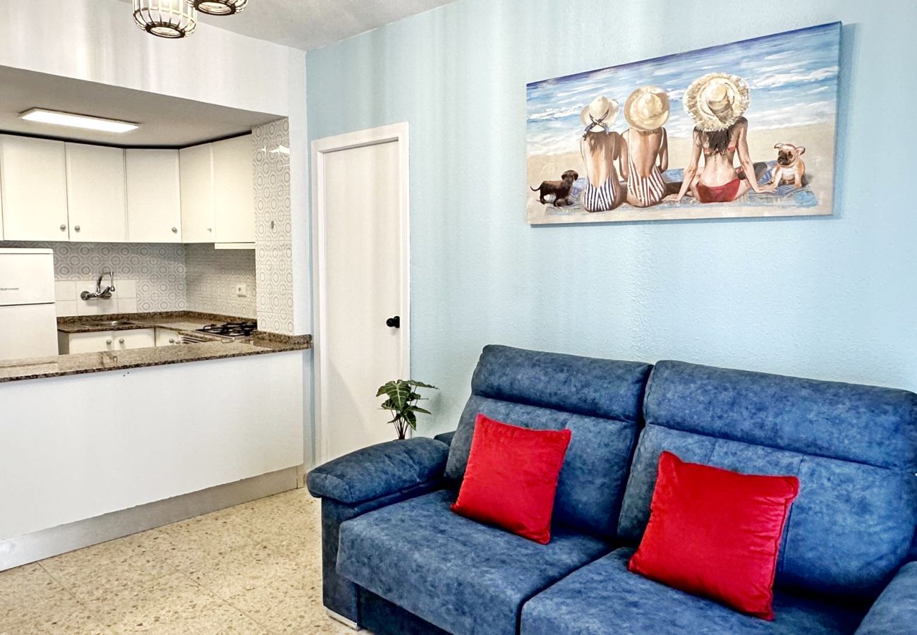 Apartamento en Gandia - BONAIRE E5 - 1º