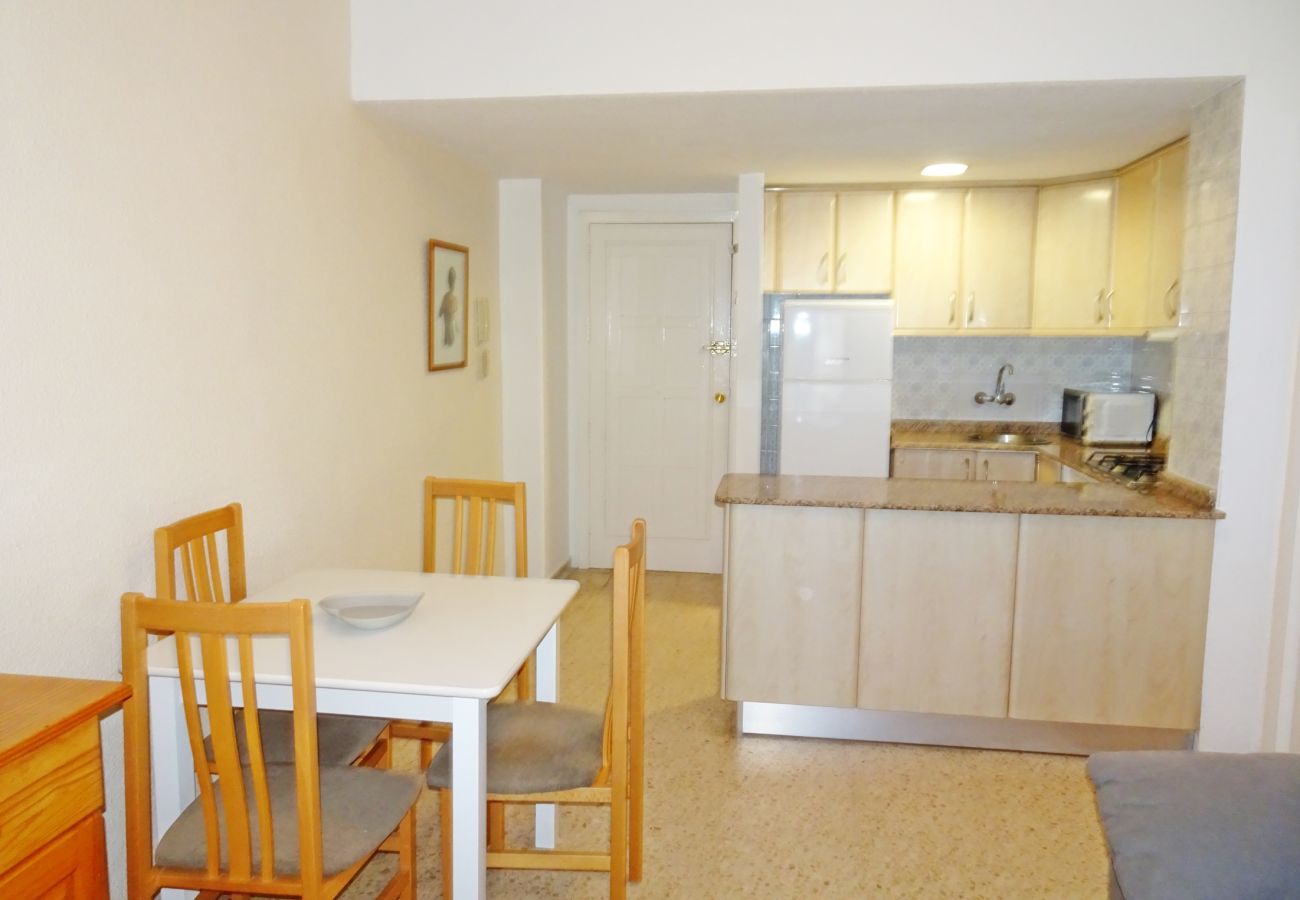 Apartamento en Gandia - BONAIRE E5 - 11