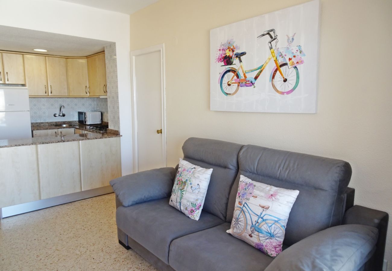 Apartamento en Gandia - BONAIRE E5 - 11
