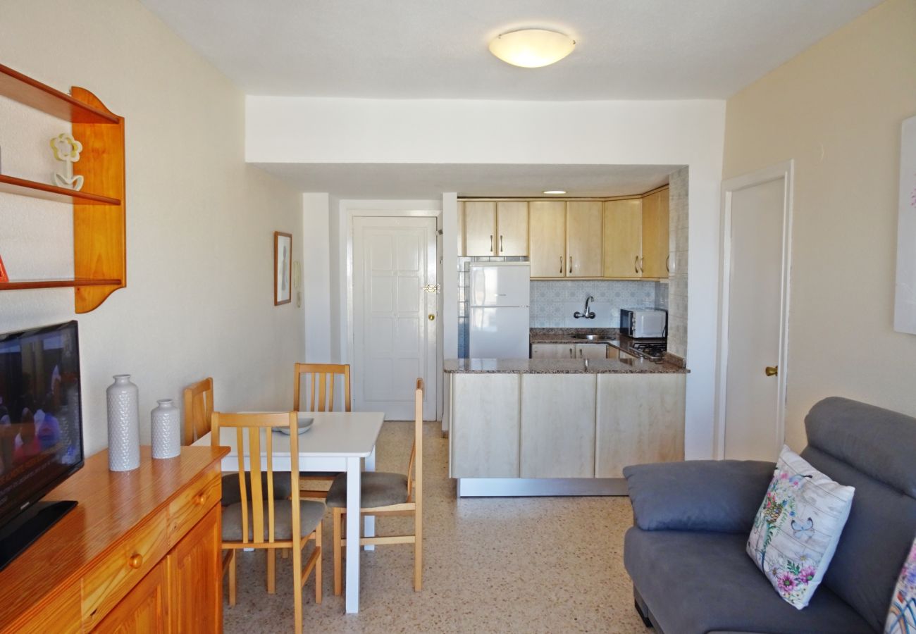 Apartamento en Gandia - BONAIRE E5 - 11