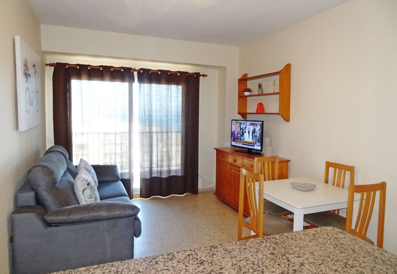 Apartamento en Gandia - BONAIRE E5 - 11