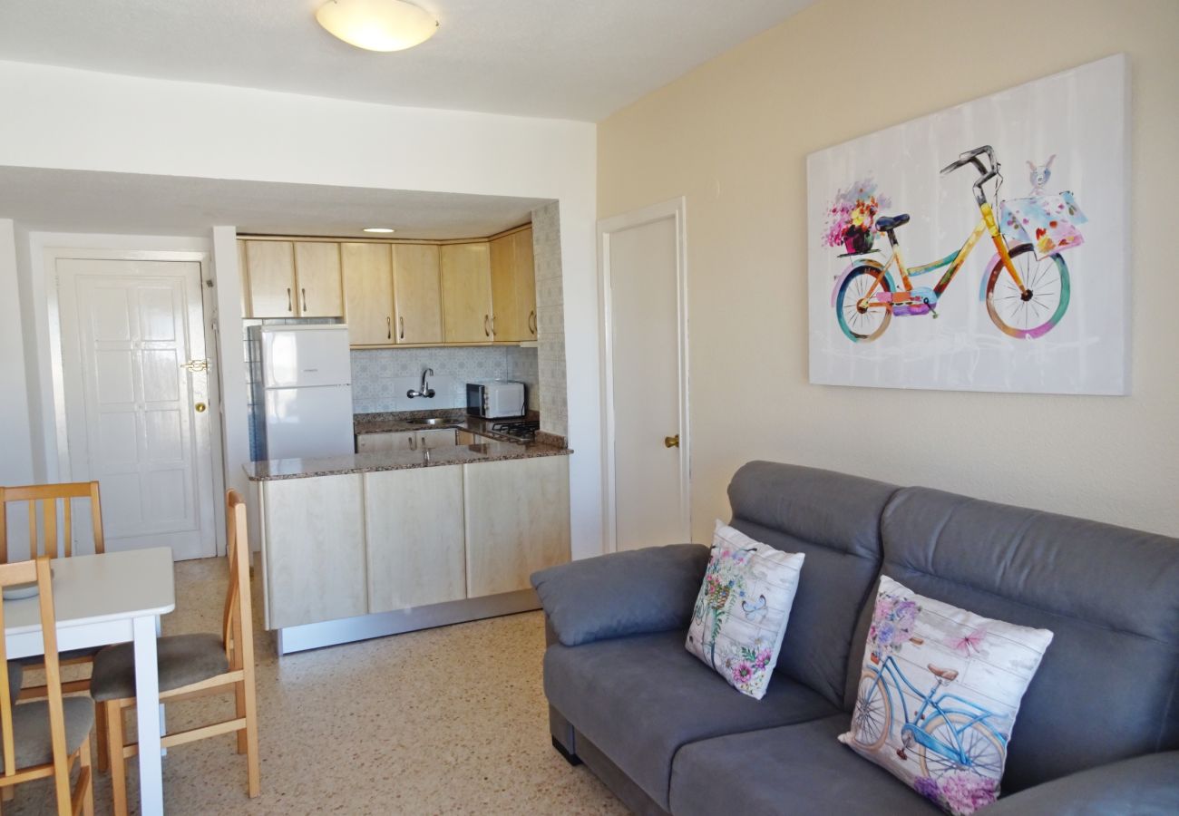 Apartamento en Gandia - BONAIRE E5 - 11