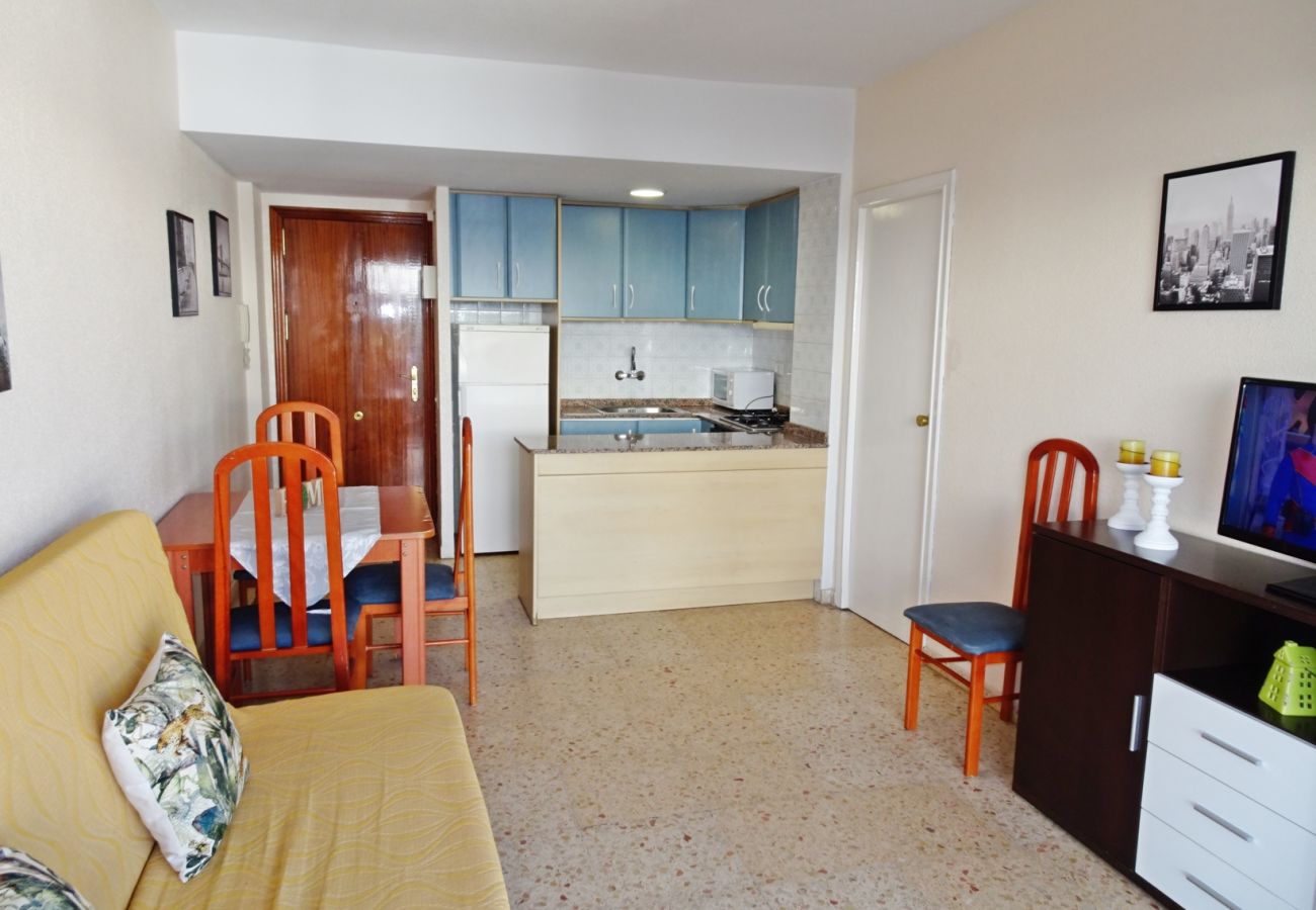 Apartamento en Gandia - BONAIRE E9 - 4º