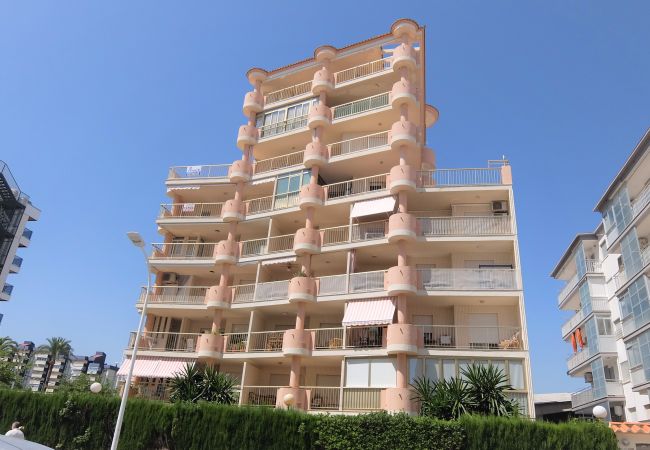 Apartamento en Gandia - AMERICAS 2º - 8ª