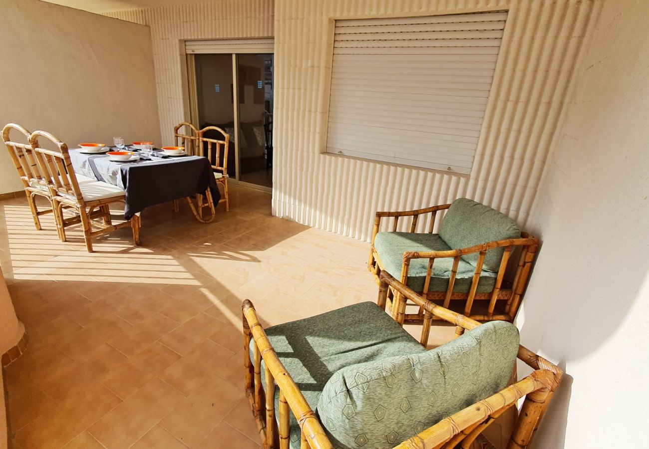 Apartamento en Gandia - AMERICAS 2º - 8ª