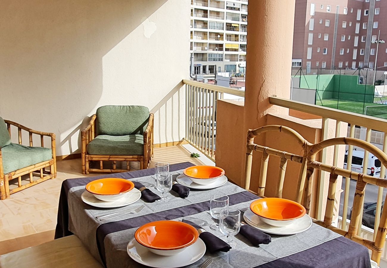 Apartamento en Gandia - AMERICAS 2º - 8ª