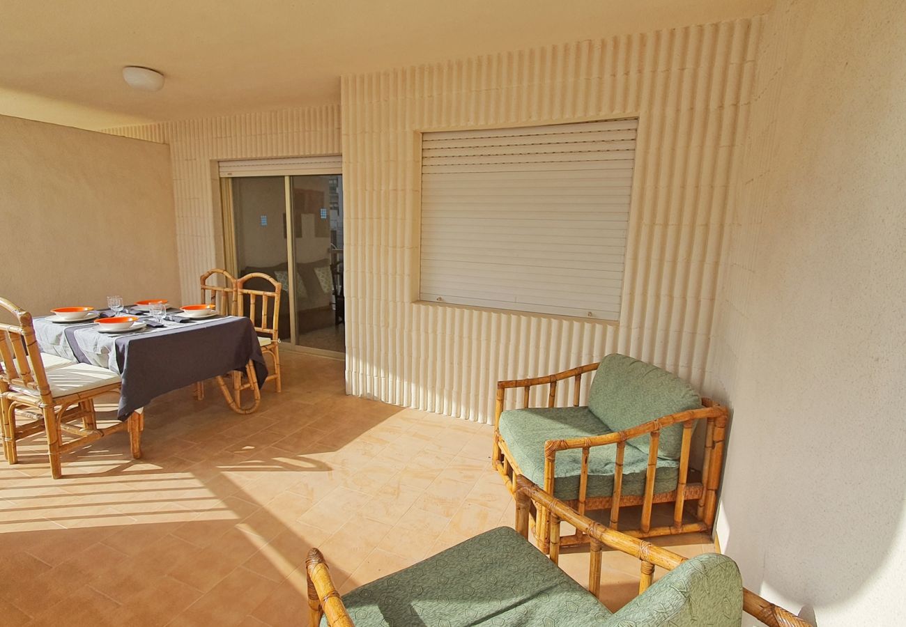 Apartamento en Gandia - AMERICAS 2º - 8ª