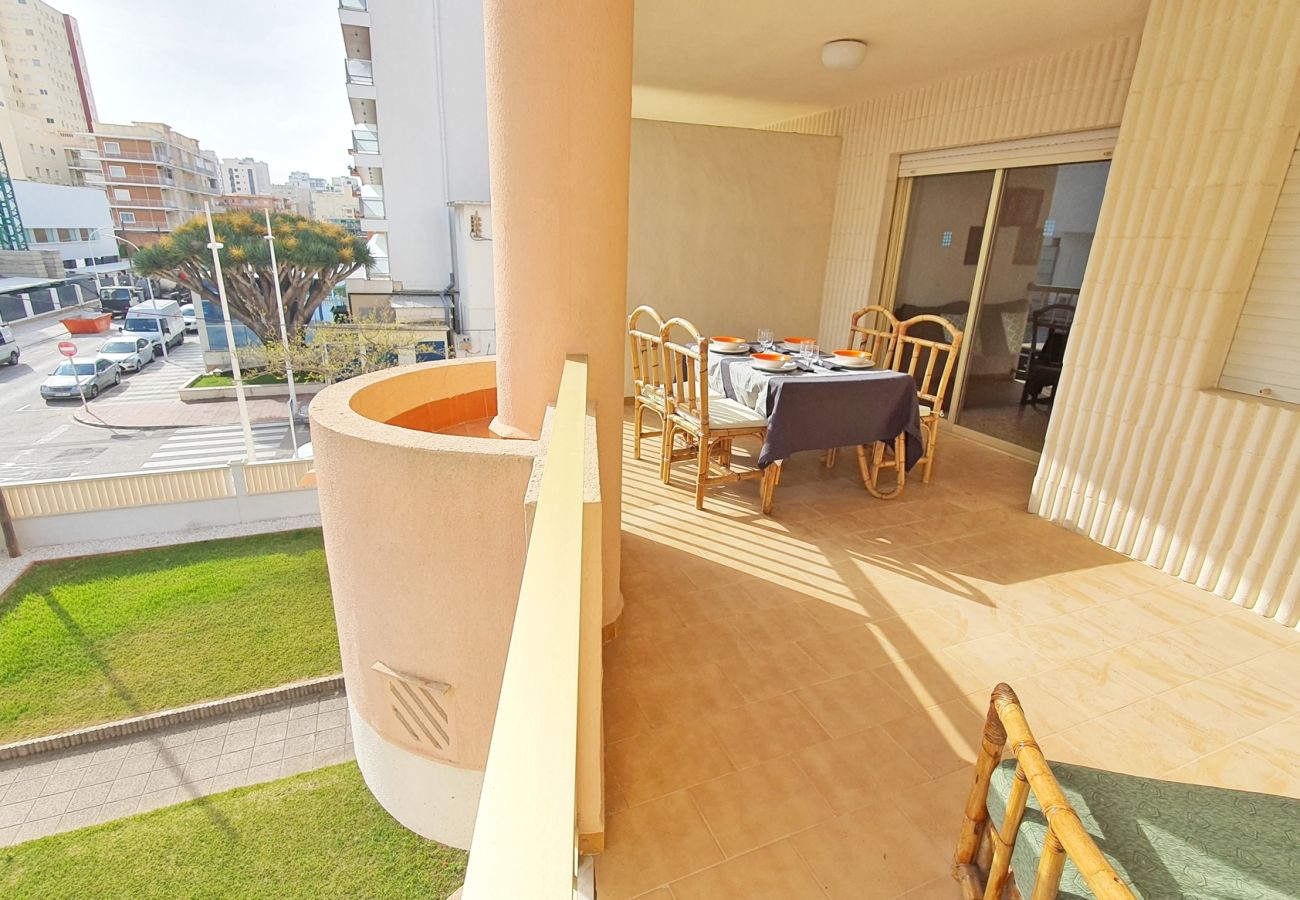 Apartamento en Gandia - AMERICAS 2º - 8ª