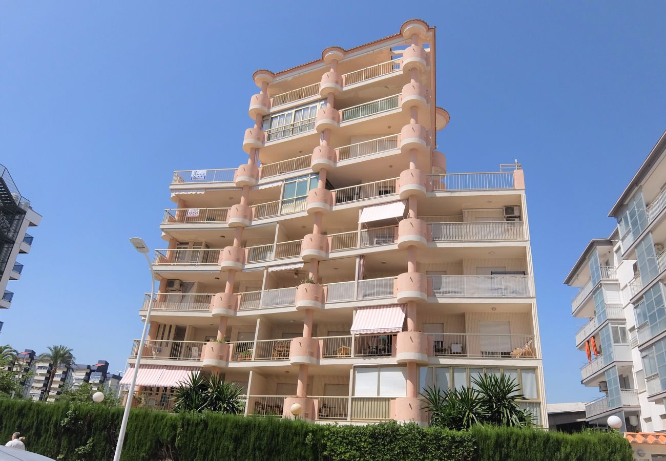 Apartamento en Gandia - AMERICAS 2º - 8ª