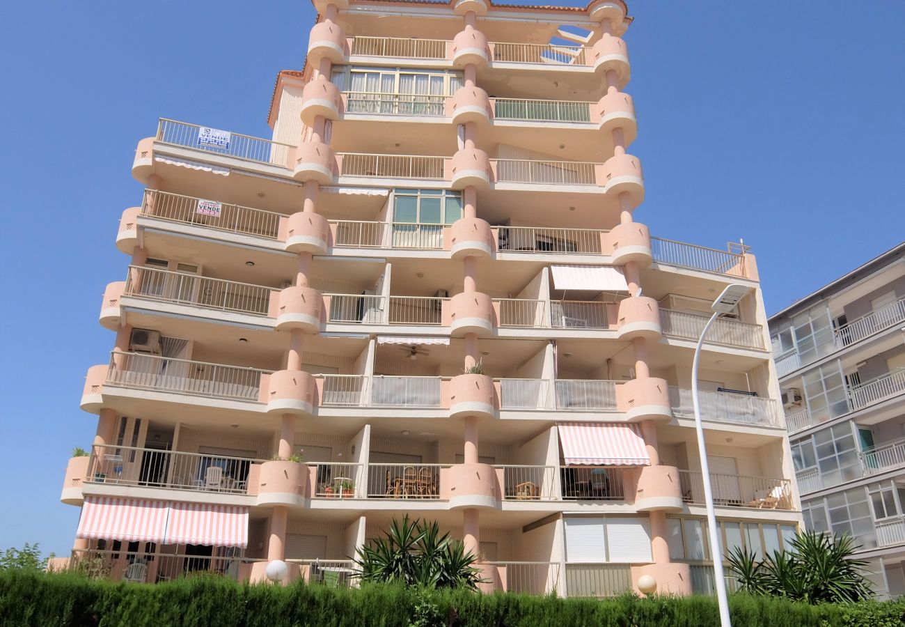 Apartamento en Gandia - AMERICAS 2º - 8ª