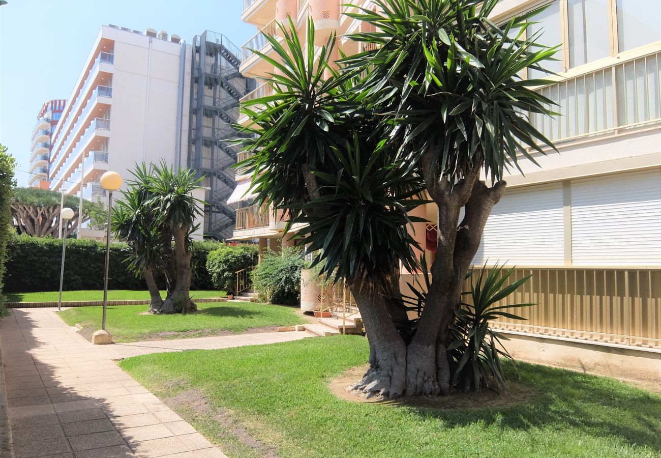 Apartamento en Gandia - AMERICAS 2º - 8ª