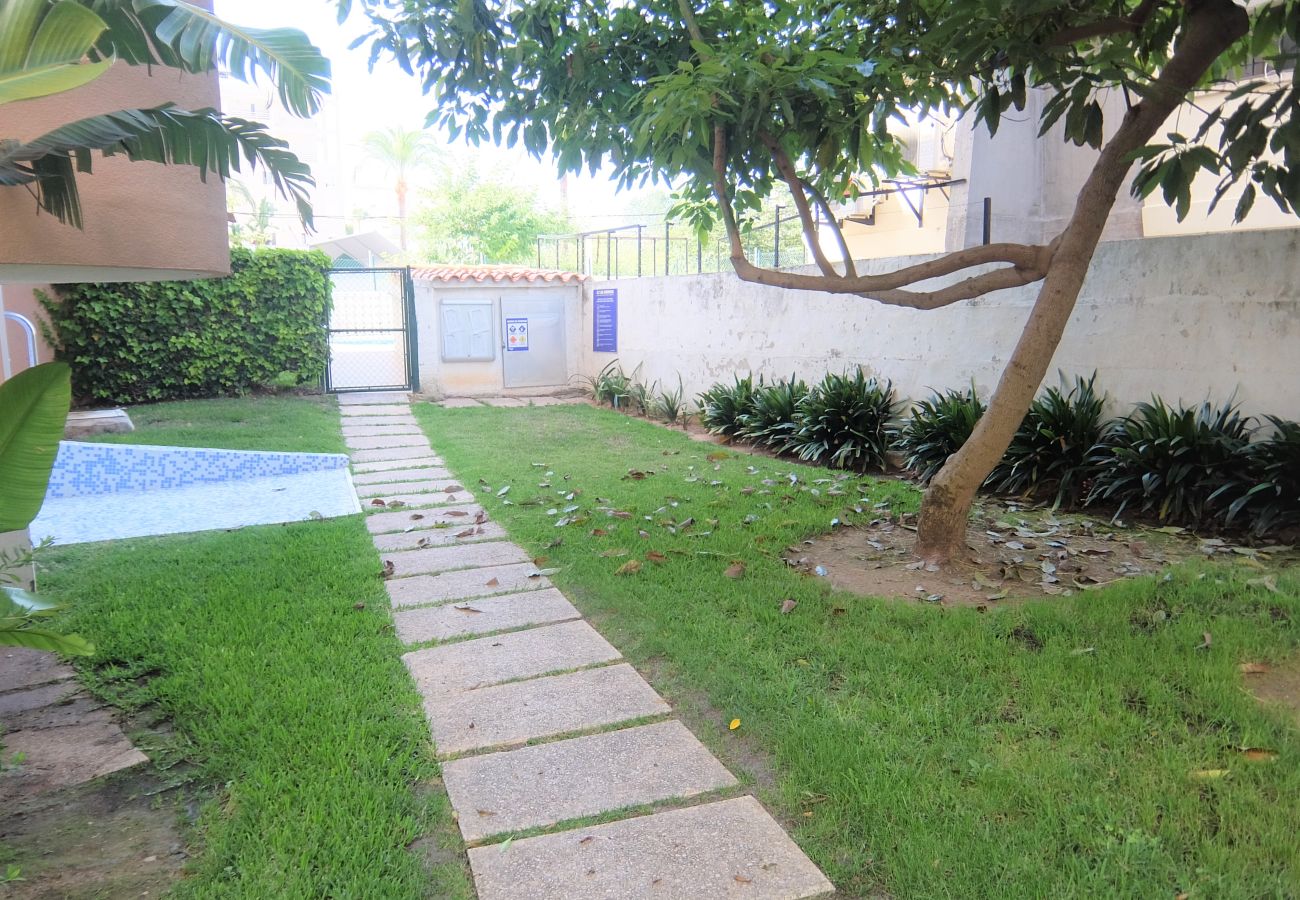 Apartamento en Gandia - AMERICAS 2º - 8ª
