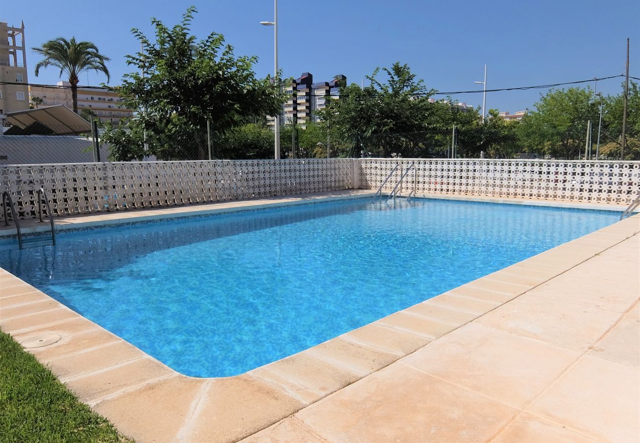 Apartamento en Gandia - AMERICAS 2º - 8ª