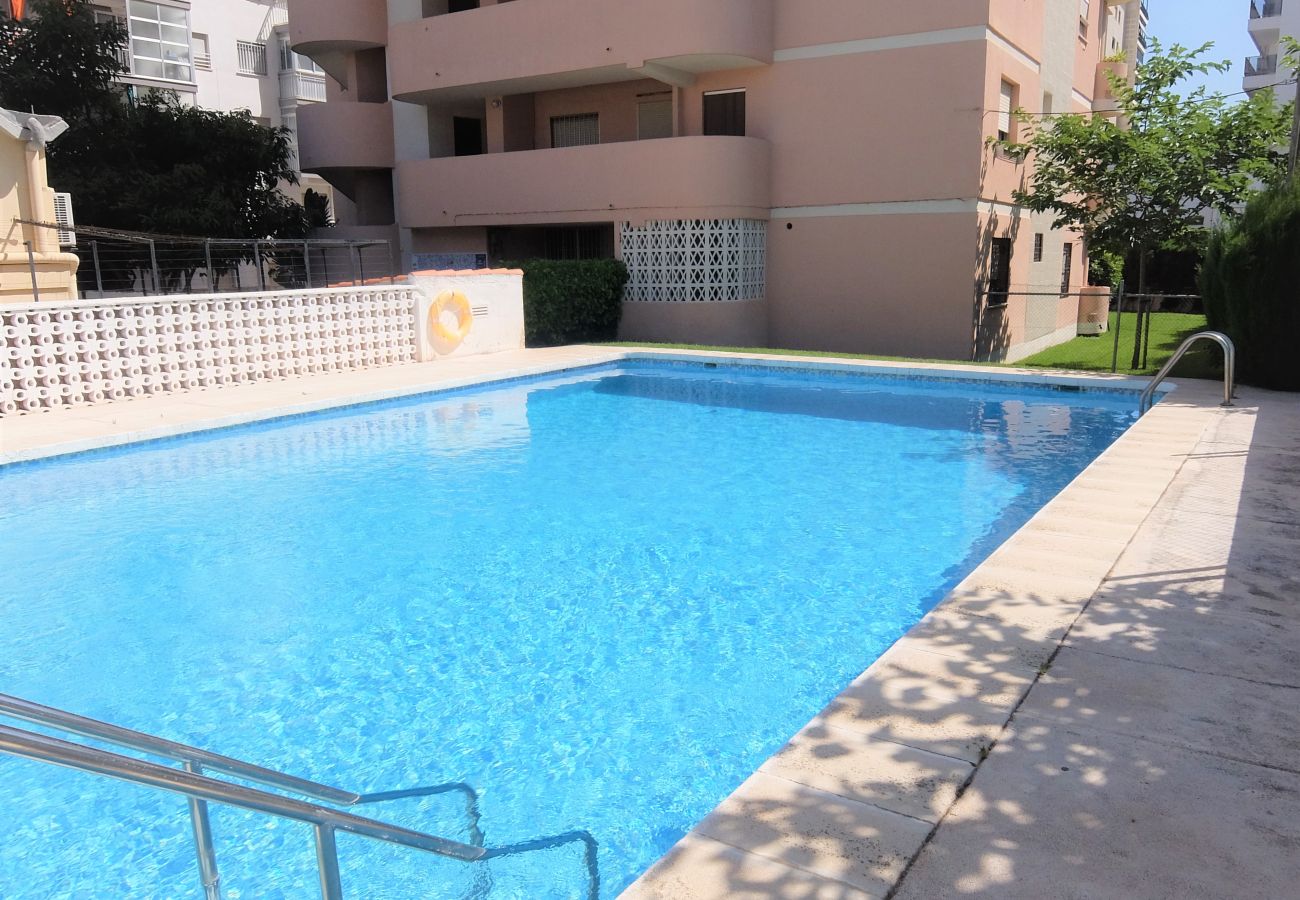 Apartamento en Gandia - AMERICAS 2º - 8ª