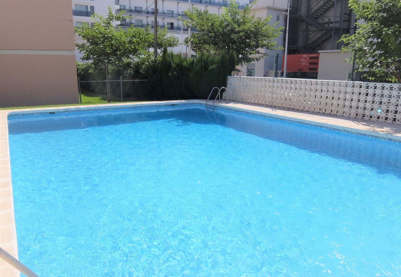 Apartamento en Gandia - AMERICAS 2º - 8ª