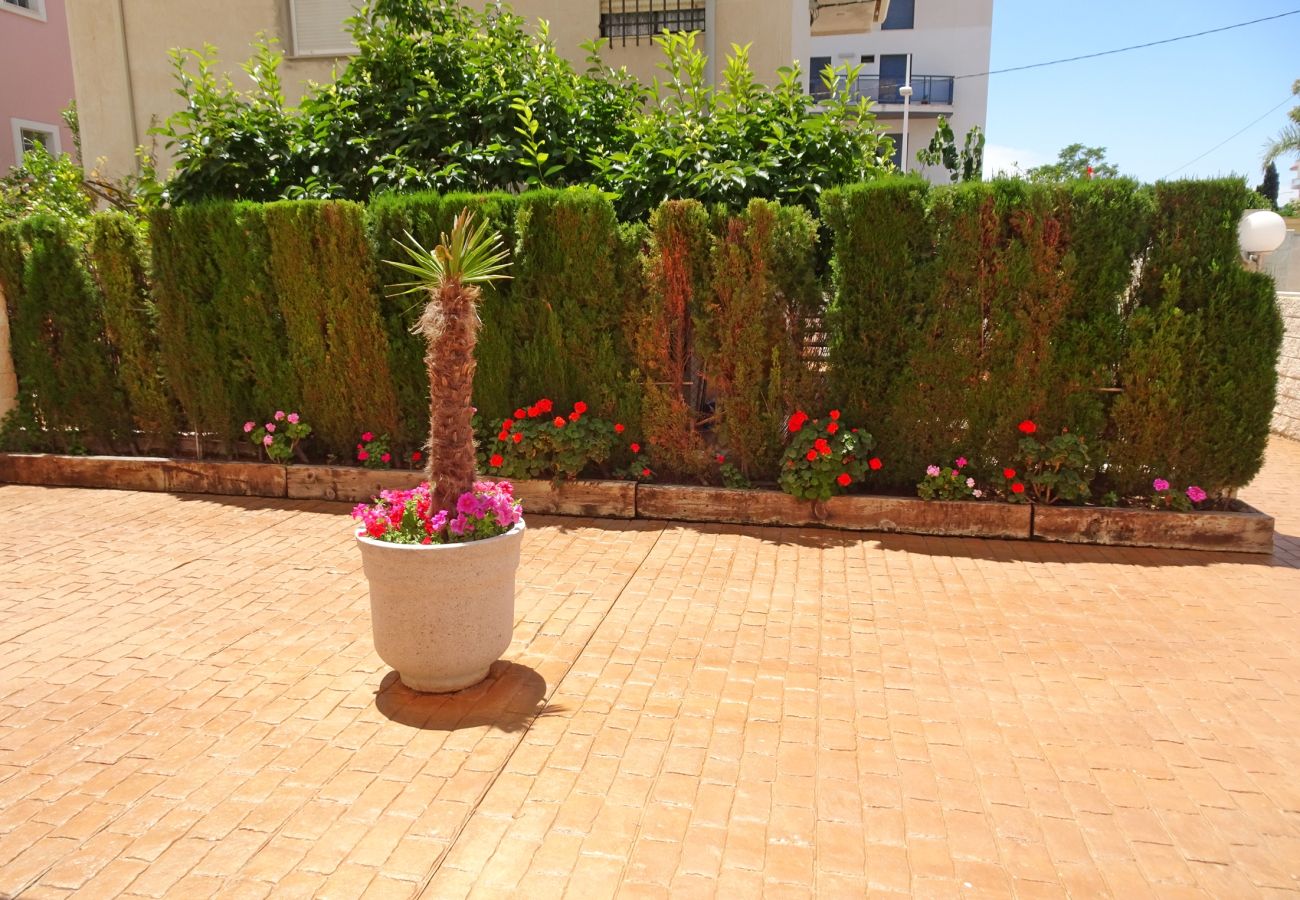 Apartamento en Gandia - BITACORA IX - 1ª - 2º - A