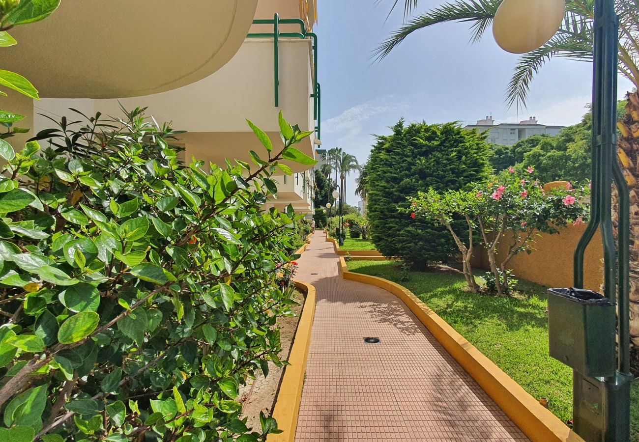 Apartamento en Gandia - CANCUN VII - 8 - 2º - T