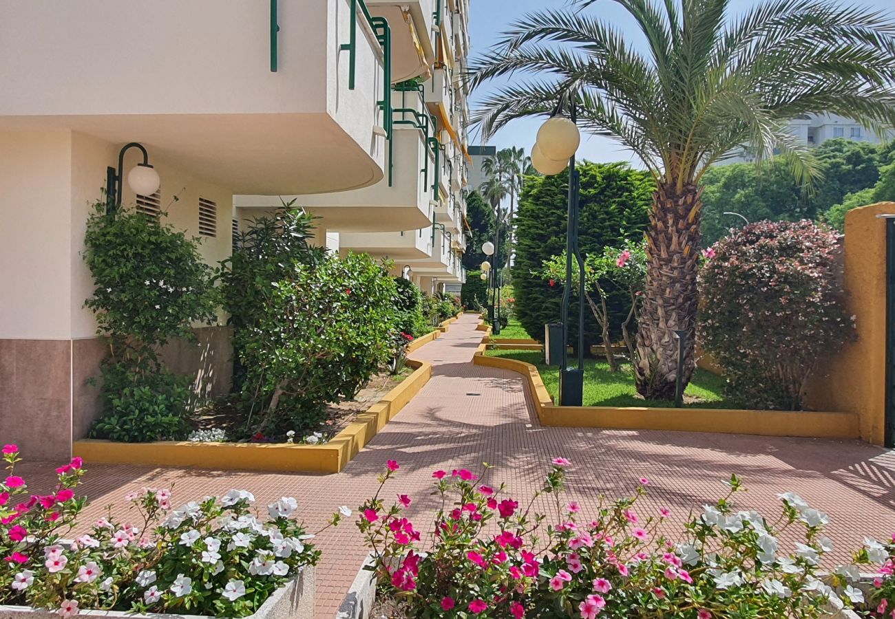 Apartamento en Gandia - CANCUN VII - 8 - 2º - T