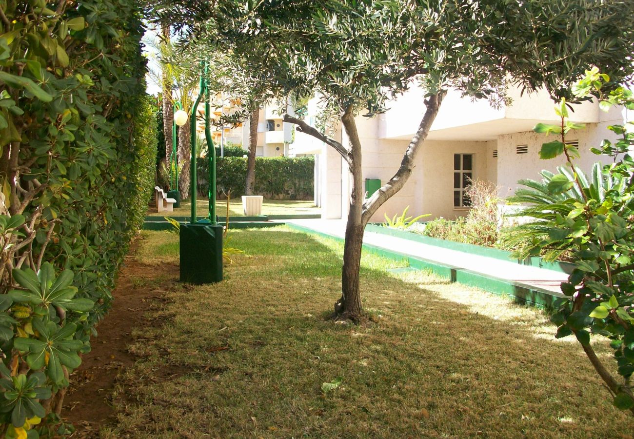 Apartamento en Gandia - CANCUN IV - 9º E