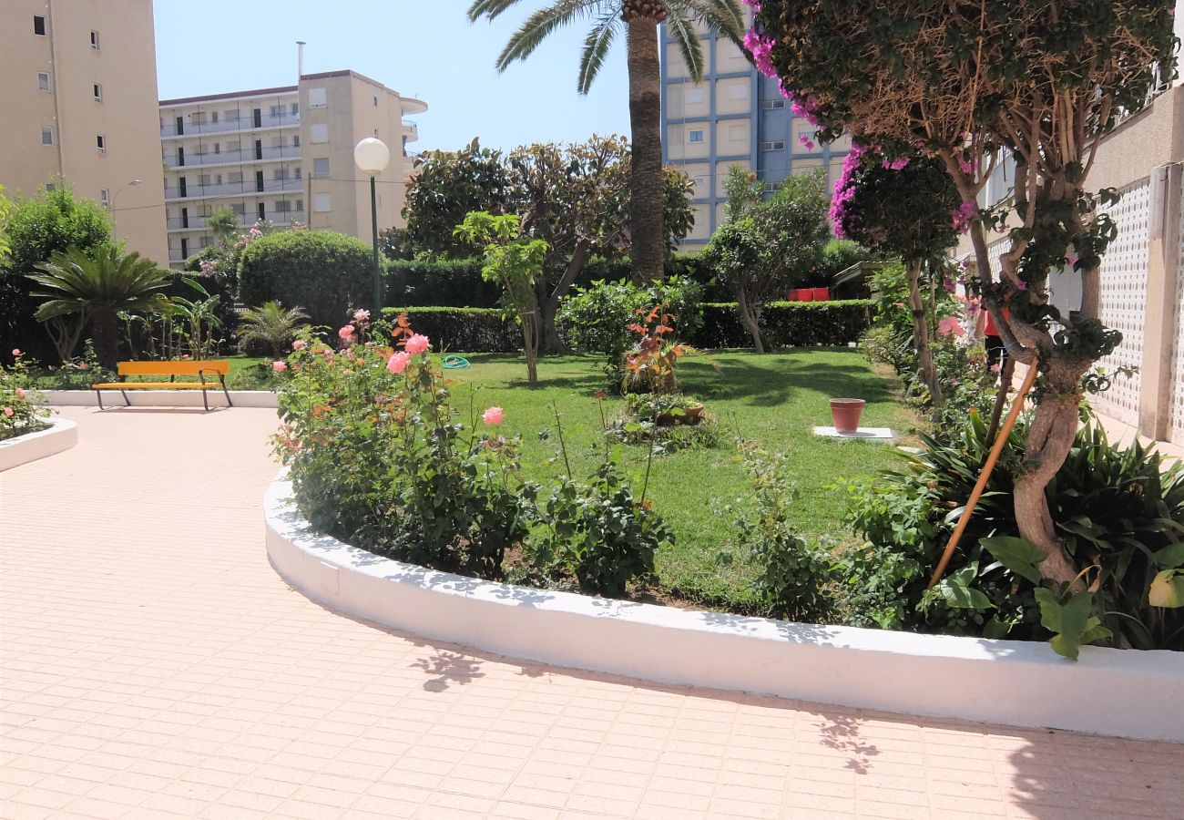 Apartamento en Gandia - CANTABRIA 9º - 94