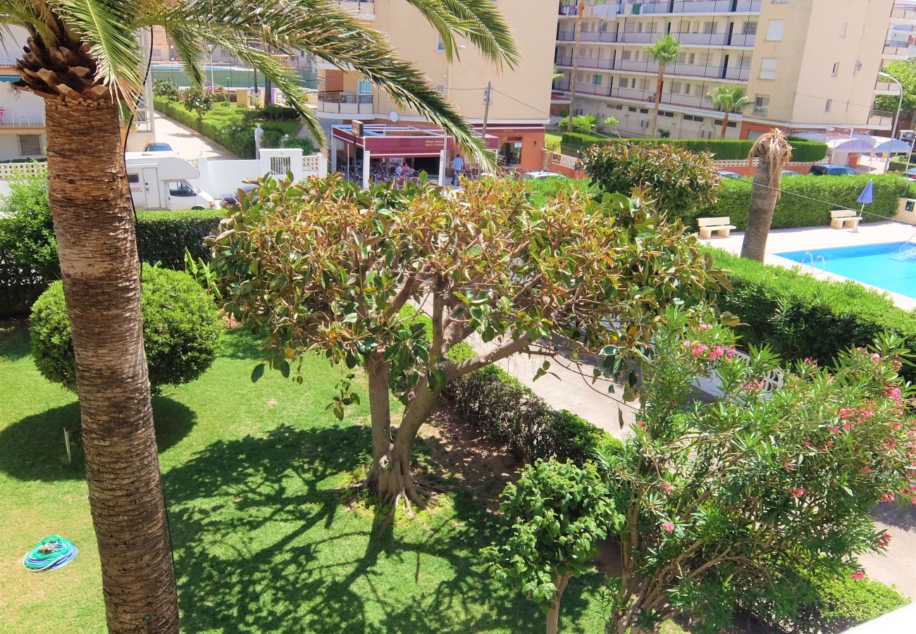 Apartamento en Gandia - CANTABRIA 9º - 94